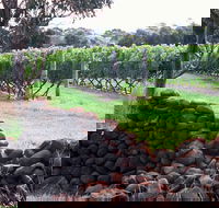Spring Vale Vineyard - Accommodation Fremantle
