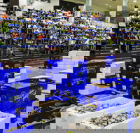 Sydney Fish Market - Accommodation Fremantle