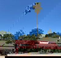 The Vine Hotel North Wangaratta - Accommodation Fremantle