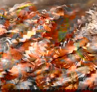 Tweenhills Chestnuts - Accommodation Fremantle