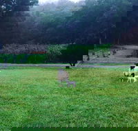 Goat Hill Farm - Accommodation Fremantle