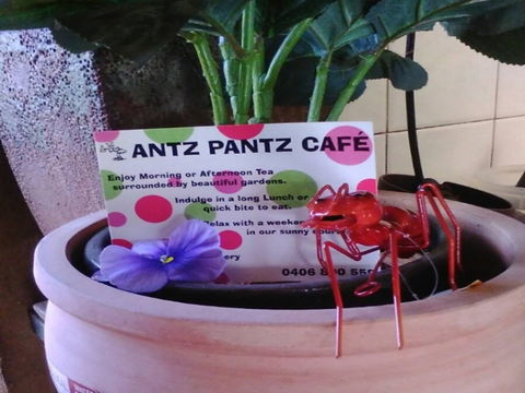 Antz Pantz Cafe - Accommodation Fremantle 0