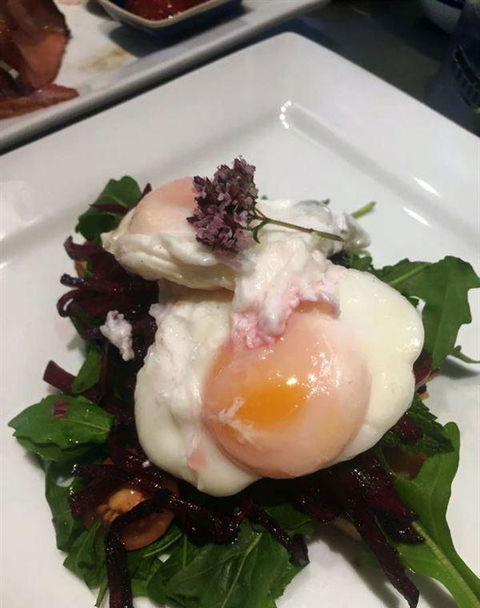 Tree Eighty3 - Accommodation Fremantle 4