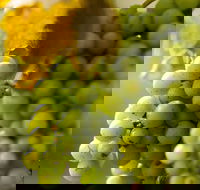 Affleck Vineyard - Accommodation Fremantle