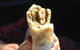 Radwan Bakery - thumb 0