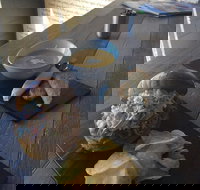 Coffee Galleria - Accommodation Fremantle