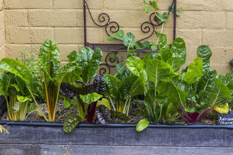 A Bite To Eat - Accommodation Fremantle 1