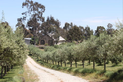 L'Oliveraie Olive Grove - Accommodation Fremantle 0