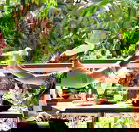 Jaques Coffee Plantation - Accommodation Fremantle