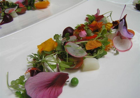 Bluebush Cafe - Accommodation Fremantle 13