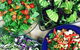 Proteini - thumb 6