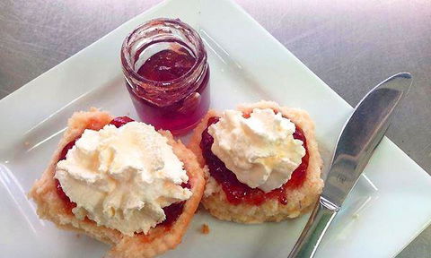 The Grumpy Cup - Accommodation Fremantle 2