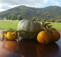 Mount Gnomon Farm - Accommodation Fremantle