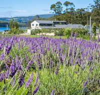 Port Arthur Lavender - Accommodation Fremantle