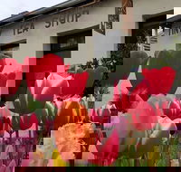 Tiny Tea Shop - Accommodation Fremantle