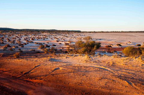 Mozie's Truckstop & Diner - Accommodation Fremantle 0