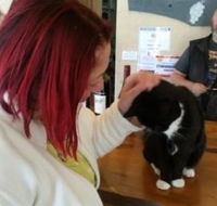 Stone Bridge Wines - Accommodation Fremantle