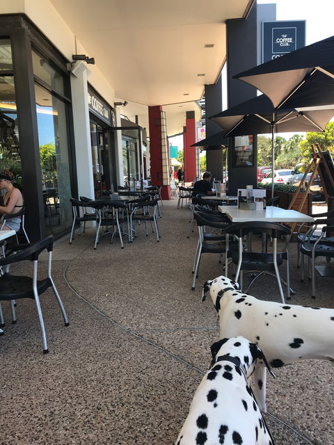 The Coffee Club Coolum Beach - Accommodation Fremantle 5