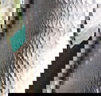 Hotel Tully - Accommodation Fremantle