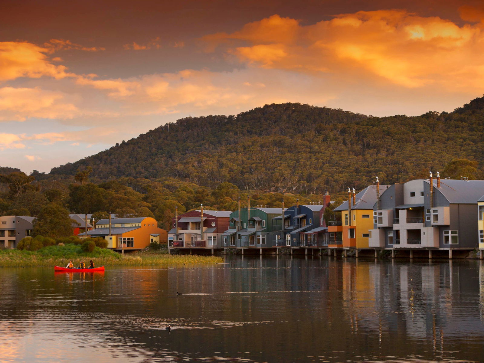 Adelong NSW Accommodation Fremantle