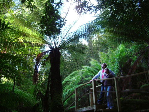 Huon Bush Retreats - Accommodation Fremantle 1