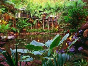 Daintree Eco Lodge & Spa - Accommodation Fremantle 0