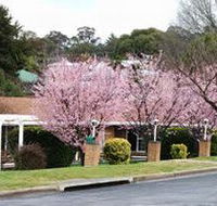 White Lanterns Motel - Accommodation Fremantle