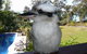Yarrandabbi Dreaming Boutique B&B - thumb 2