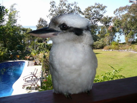 Yarrandabbi Dreaming Boutique B&B - Accommodation Fremantle 2