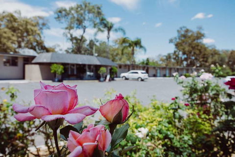 Artesian Spa Motor Inn - Accommodation Fremantle 2