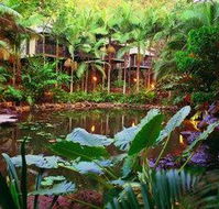 Daintree Eco Lodge  Spa - Accommodation Fremantle