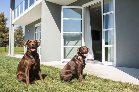 Abode Narrabundah - Accommodation Fremantle 20
