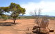 Windana Cottages - thumb 25