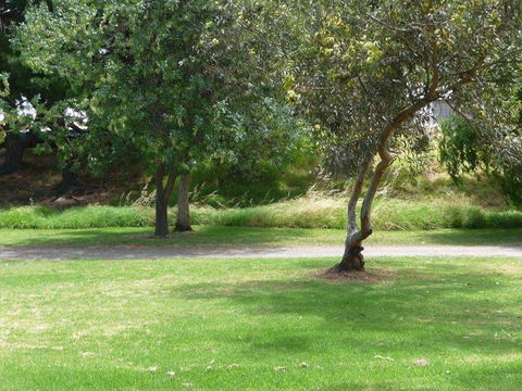 Victor Harbor Holiday Park - Accommodation Fremantle 24