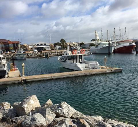 Port Lincoln Shark Apartment 1 - Accommodation Fremantle 14