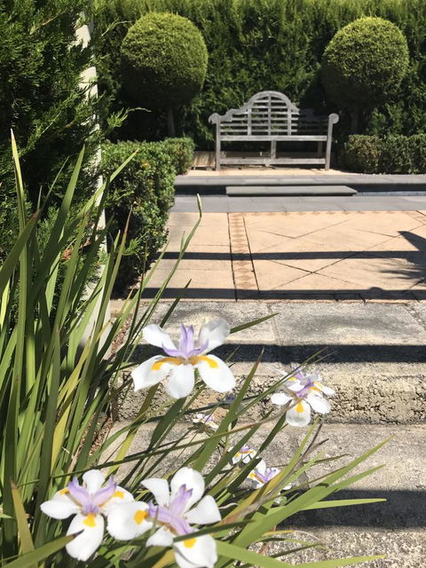 S T U D I O 22 Peaceful Retreat With Garden Views - Accommodation Fremantle 13