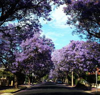 Monaco Court Apartment Adelaide - Accommodation Fremantle