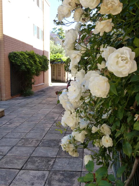 Monaco Court Apartment Adelaide - Accommodation Fremantle 19