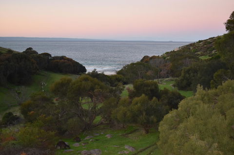 Sea Dragon Kangaroo Island - Accommodation Fremantle 30