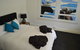 Two Cow Cottage Bed & Breakfast - thumb 23
