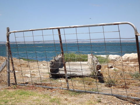 Home On Torrens - Accommodation Fremantle 15