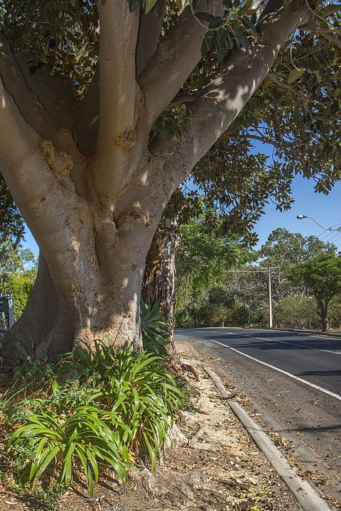 Stoneleigh Cottage Bed And Breakfast - Accommodation Fremantle 25