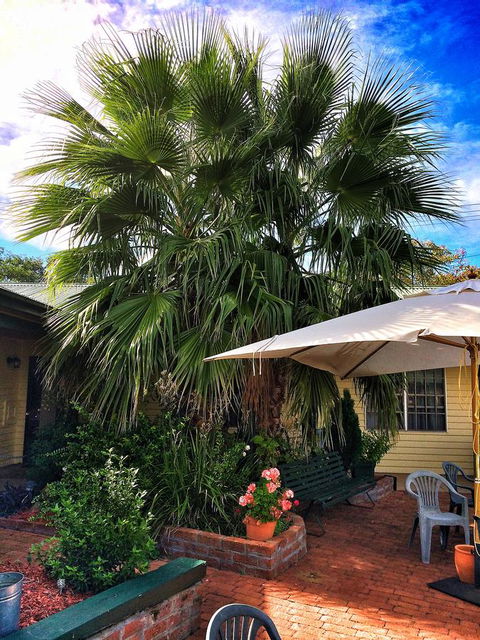 Ten Dollar Town Motel - Accommodation Fremantle 17