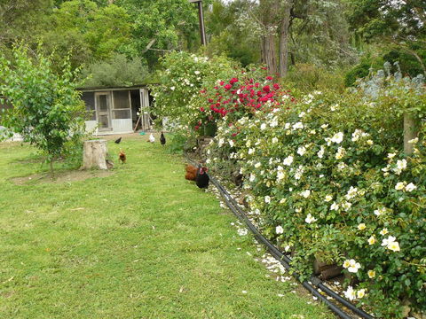 Camawald Coonawarra Cottage B&B - Accommodation Fremantle 3