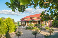 Barossa Shiraz Estate