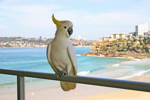 Beachfront Bliss - Accommodation Fremantle 23