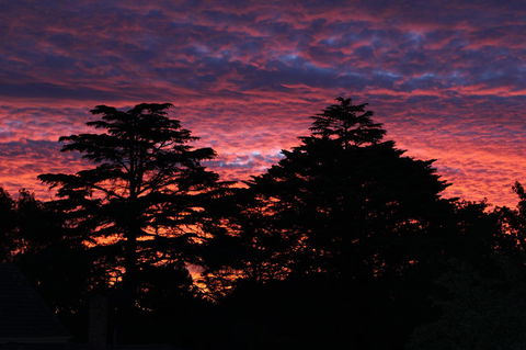 Pirralilla Estate Adelaide Hills - Accommodation Fremantle 26