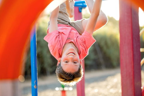 BIG4 Renmark Riverfront Holiday Park - Accommodation Fremantle 28