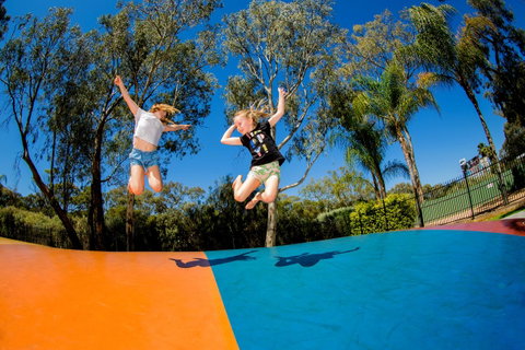 BIG4 Renmark Riverfront Holiday Park - Accommodation Fremantle 37