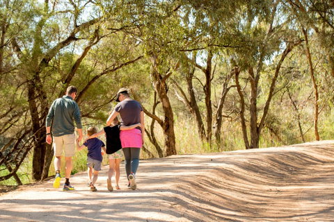 BIG4 Renmark Riverfront Holiday Park - Accommodation Fremantle 13